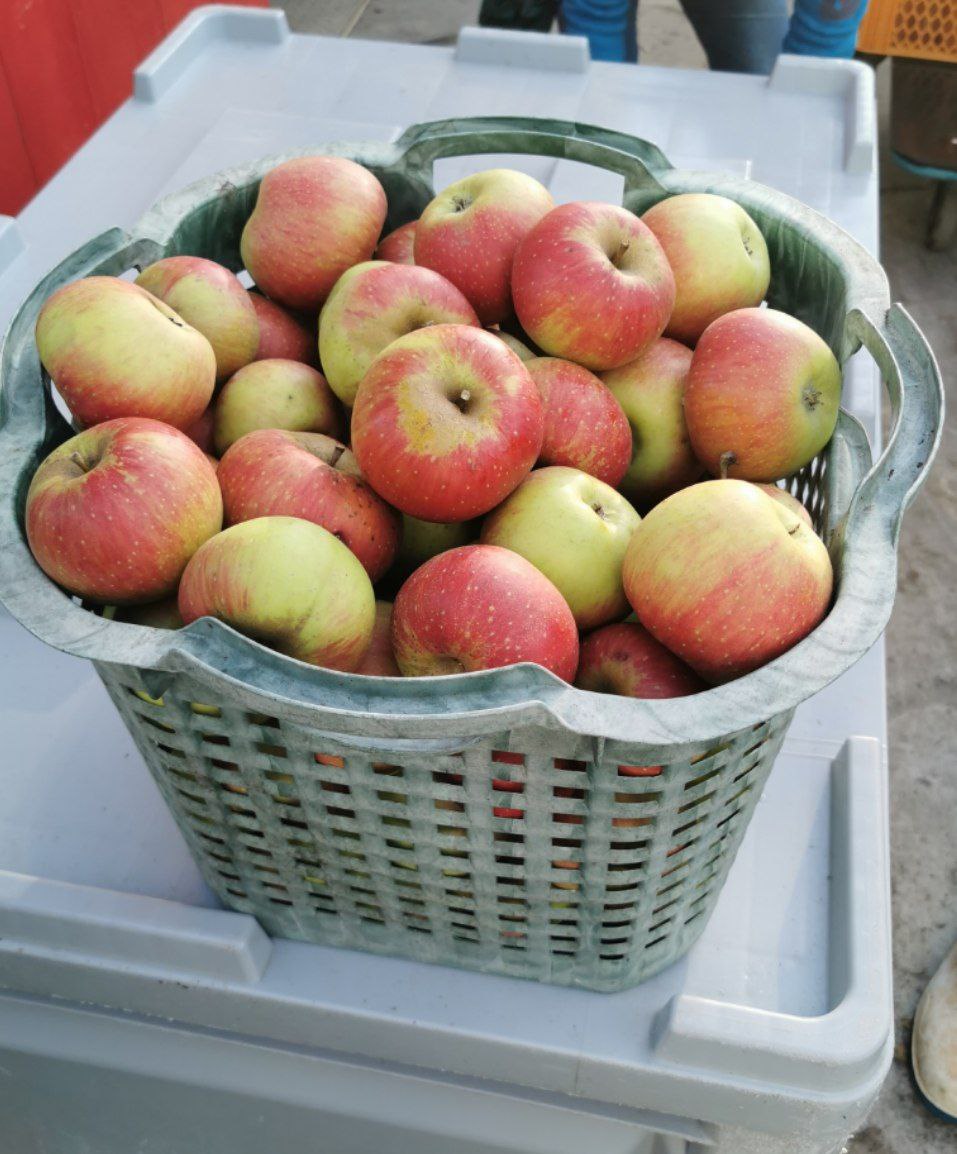 Featured image for “Saison 2025 – Endspurt”